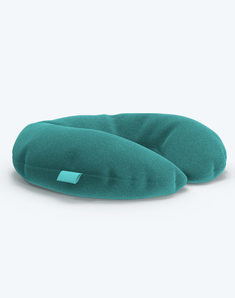 Smart Air Bag Travel